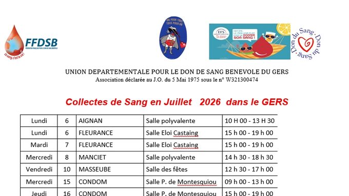 Sans titre 2.jpg